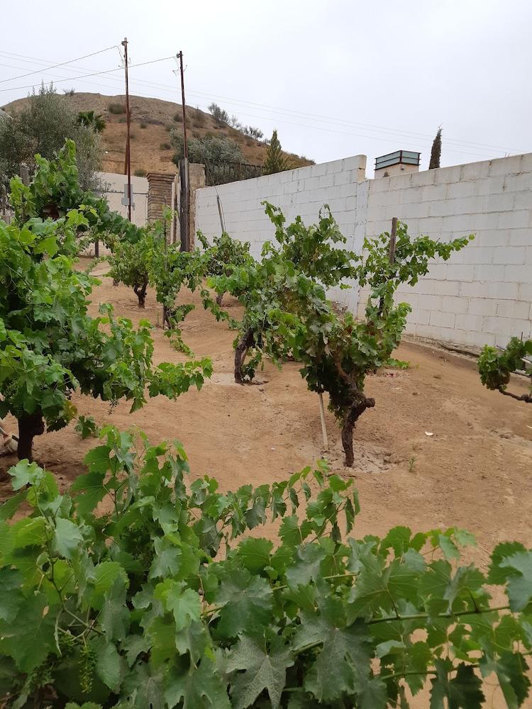 Hotel Meson Del Vino Valle de Guadalupe Exteriör bild