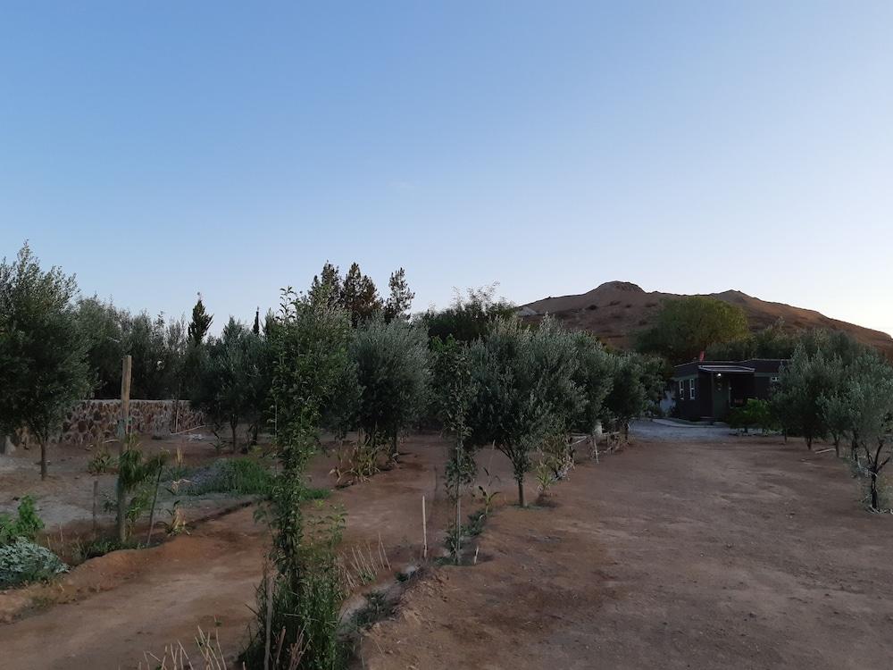 Hotel Meson Del Vino Valle de Guadalupe Exteriör bild