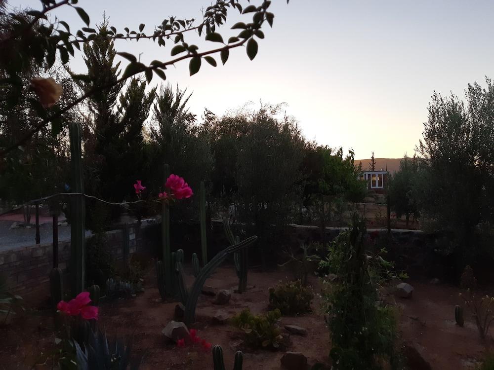 Hotel Meson Del Vino Valle de Guadalupe Exteriör bild