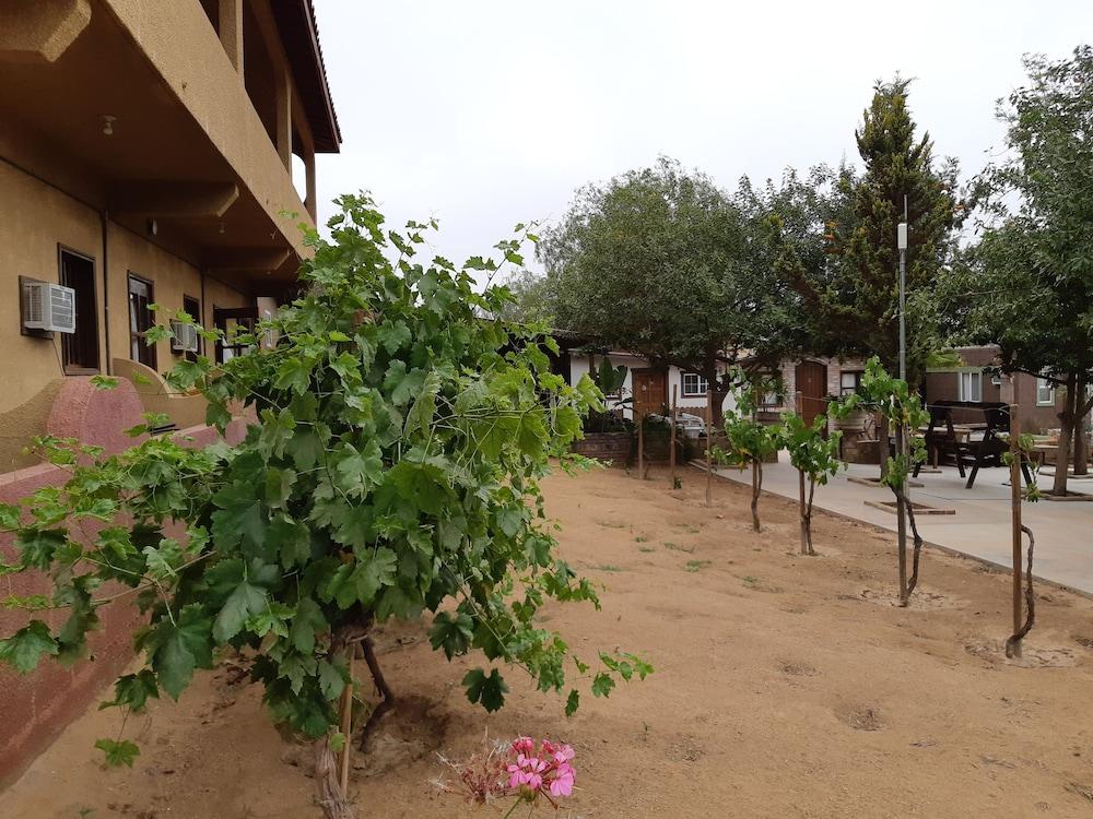 Hotel Meson Del Vino Valle de Guadalupe Exteriör bild