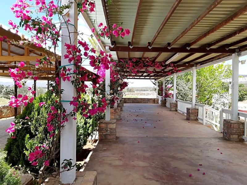 Hotel Meson Del Vino Valle de Guadalupe Exteriör bild